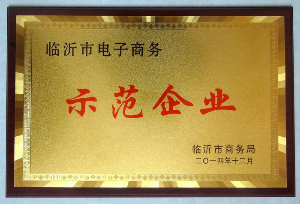 Linyi City e - commerce demonstration enterprises